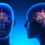 Cuál es el hábito nocturno que protege la memoria y previene enfermedades del cerebro