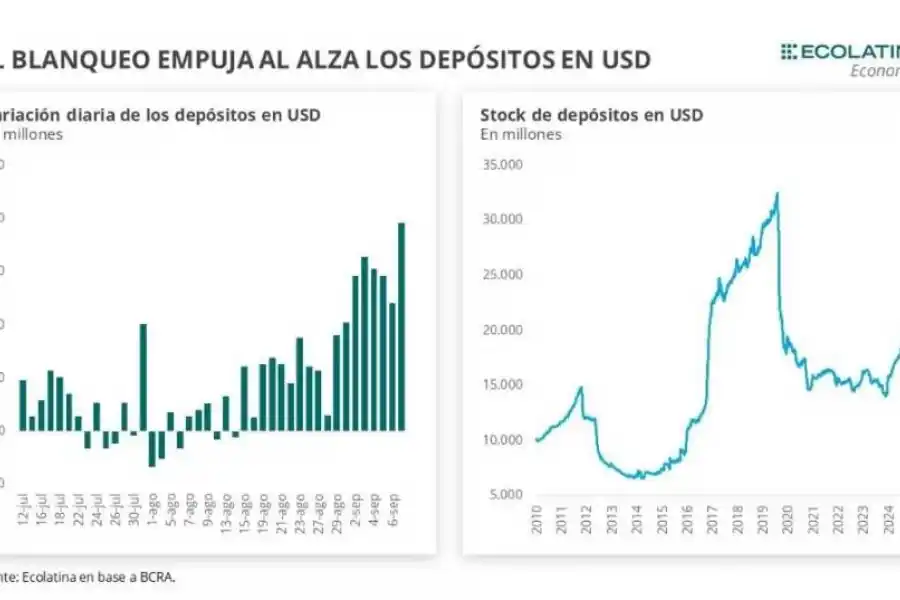 Blanqueo: una herramienta clave del plan económico del Gobierno de Milei