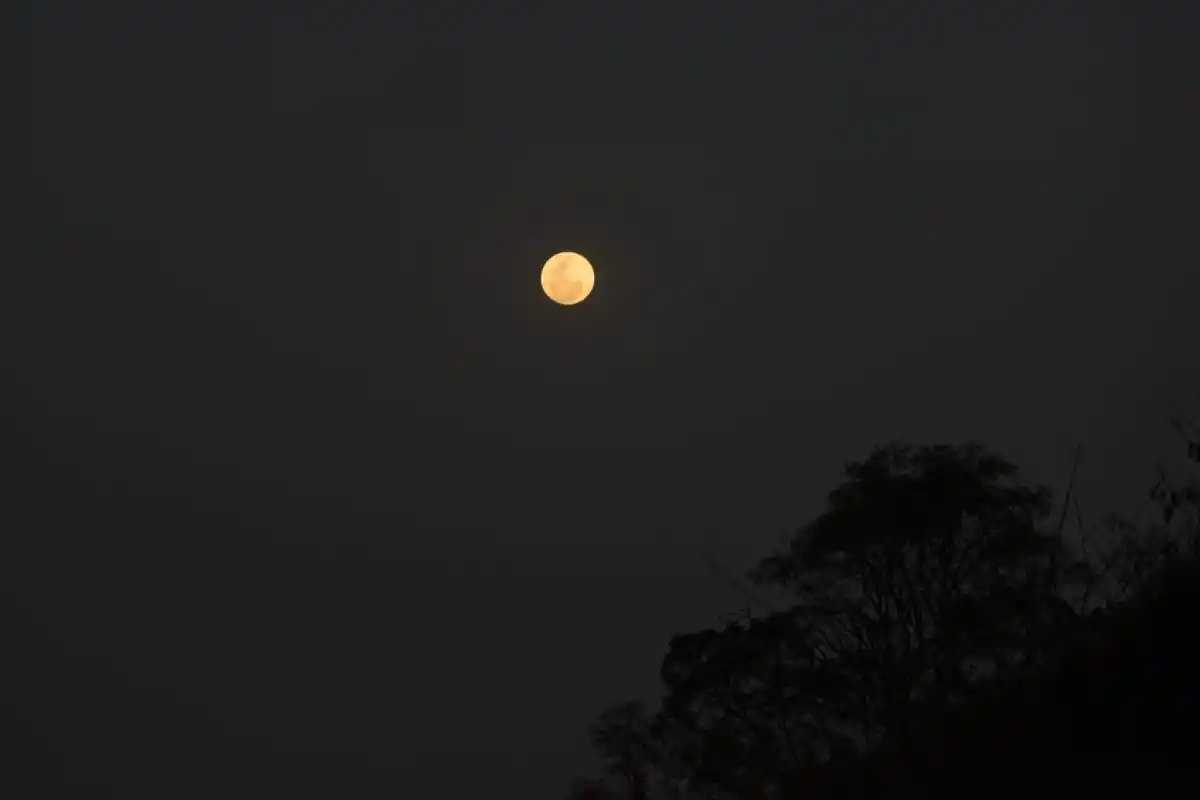 Mirá las imágenes del Eclipse de Superluna observado desde Tucumán