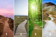 Test de personalidad: elegí un camino y descubrí cuál es tu mayor motivación en la vida