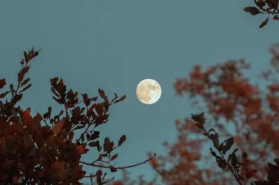 Superluna: rituales poderosos para atraer amor, salud y abundancia