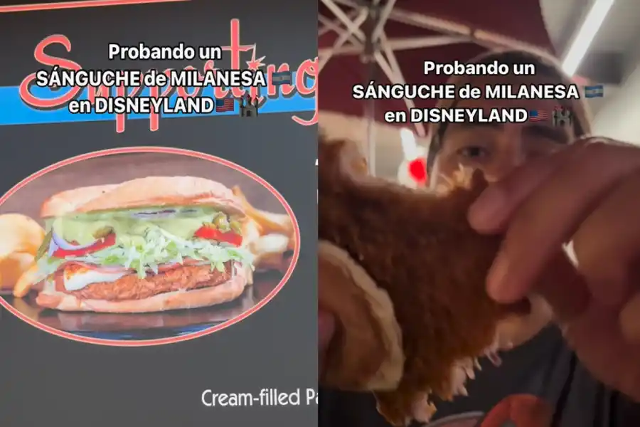 La experiencia de un joven tucumano al probar un sánguche de milanesa en Disney