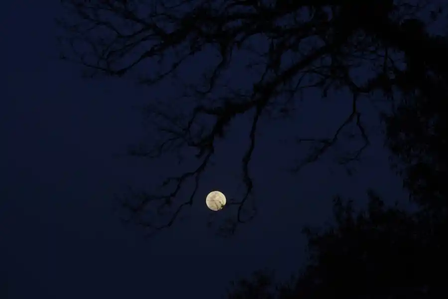 Mirá las imágenes del Eclipse de Superluna observado desde Tucumán