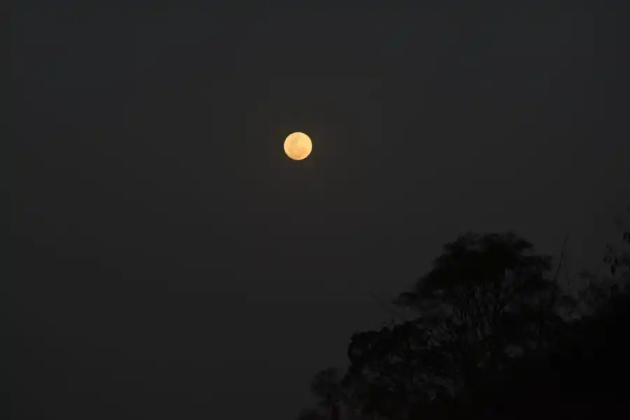 Mirá las imágenes del Eclipse de Superluna observado desde Tucumán