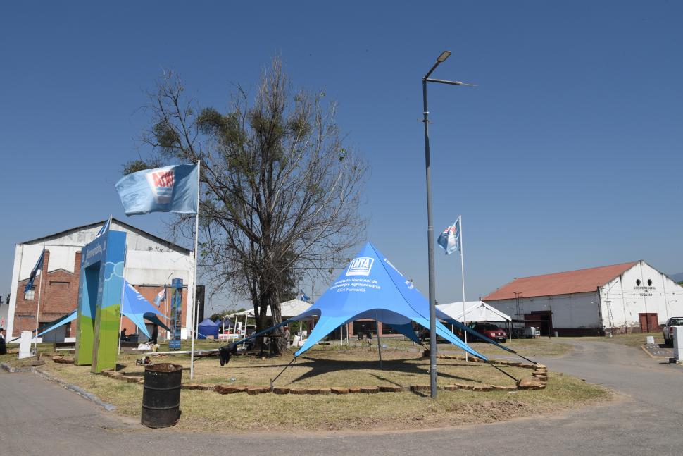 CARPAS. Están instaladas en buena parte del predio de la Rural.