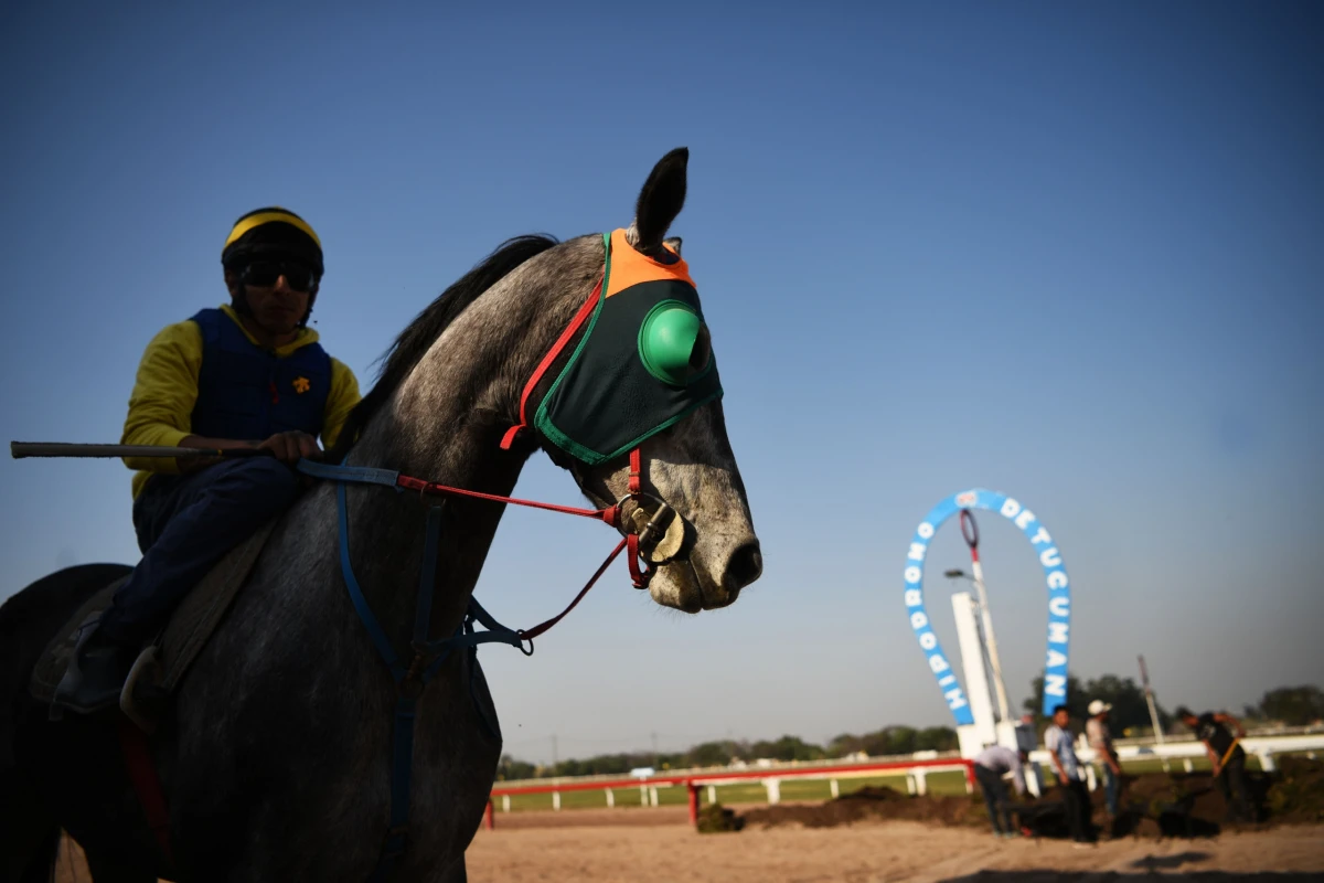 LISTO PARA EL MARTES. El jinete Matías Rodríguez, líder de la estadística del hipódromo local, montará a Doble Alegría en el clásico de velocidad “Lito Bestani”. Foto: Diego Araóz - LA GACETA