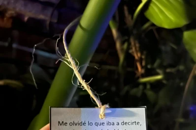 Arte y ciencia: un abordaje completo de una problemática compleja