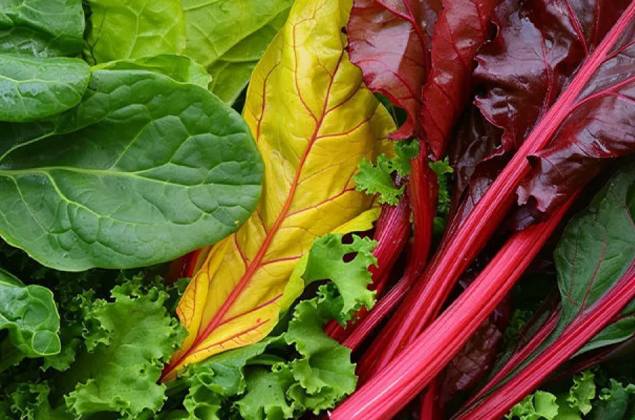 Las hortalizas de hoja verde son una buena fuente de vitamina K.