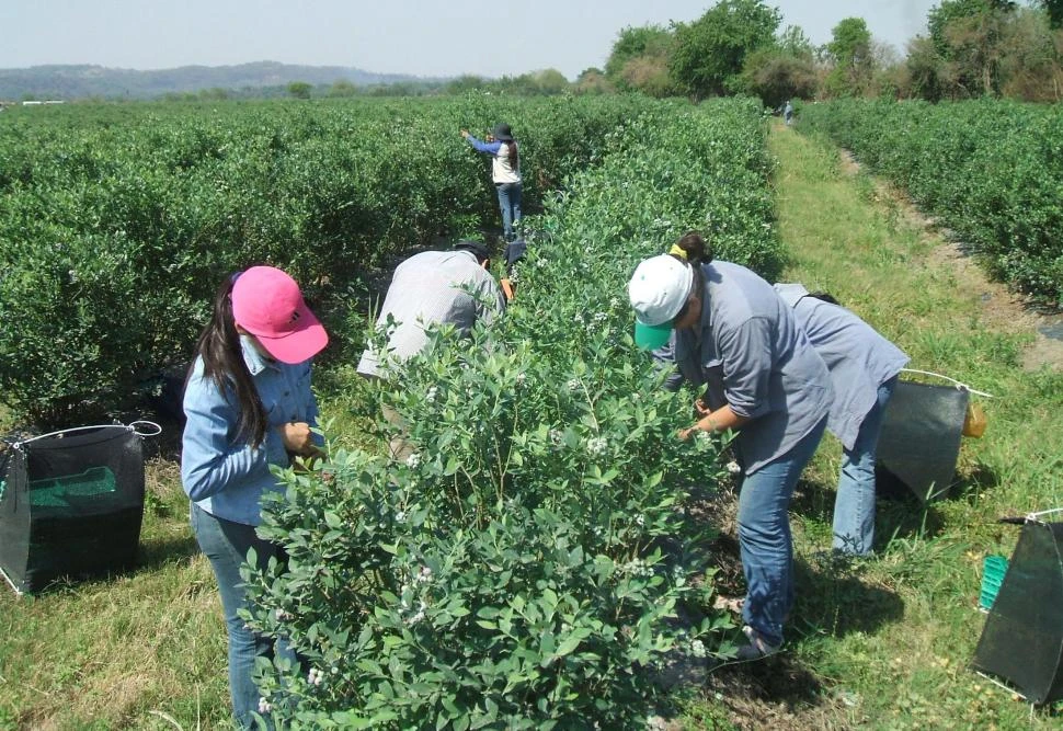 Robo a una finca en Monteros: los dueños denunciaron daños por $400.000