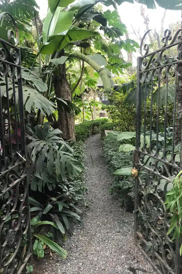 Paquita Romano: la dueña del jardín más instagrameable de Buenos Aires