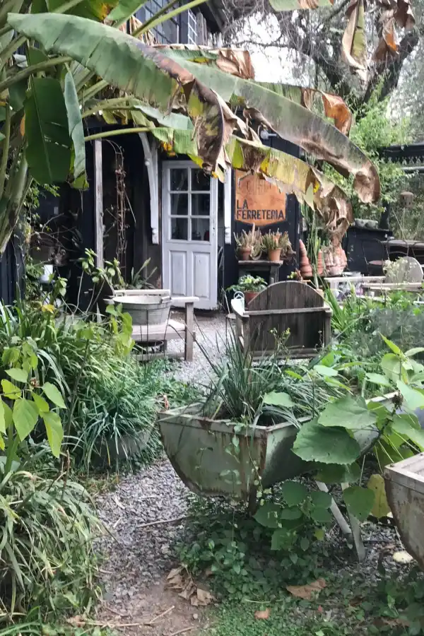 Paquita Romano: la dueña del jardín más instagrameable de Buenos Aires