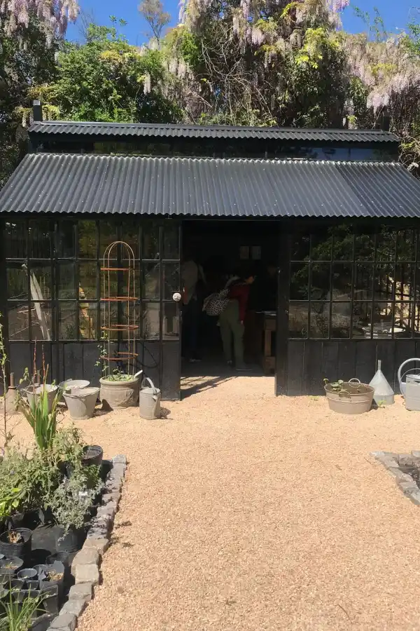 Paquita Romano: la dueña del jardín más instagrameable de Buenos Aires