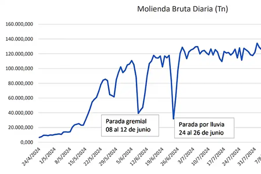 La zafra se extenderá hasta noviembre, con el plan de cosechar toda la materia prima, según el Ipaat