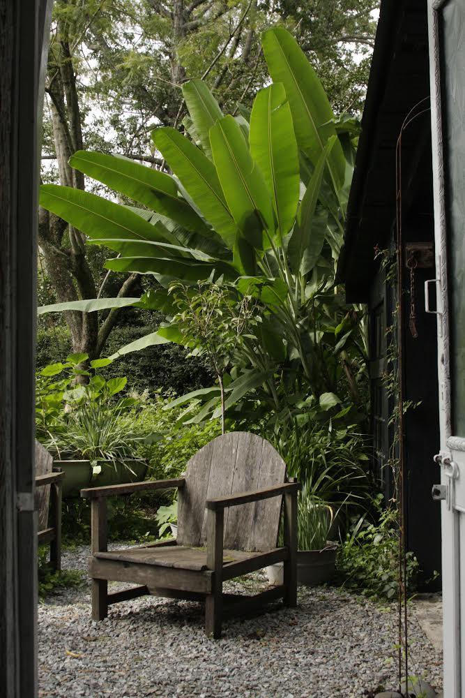 Paquita Romano: la dueña del jardín más instagrameable de Buenos Aires