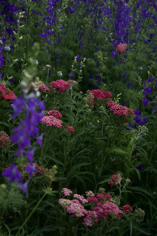 Paquita Romano: la dueña del jardín más instagrameable de Buenos Aires