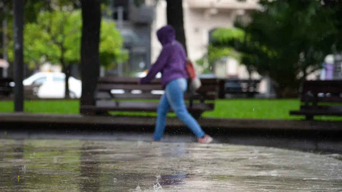 El clima esta semana será más primaveral que la semana anterior.