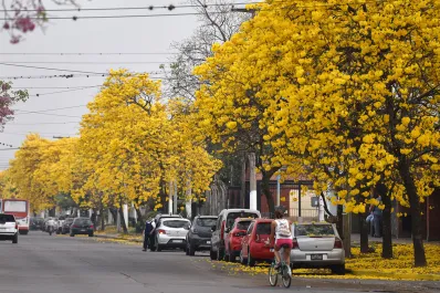 El tiempo en Tucumán: el intenso calor cederá esta semana y no descartan algunas lluvias