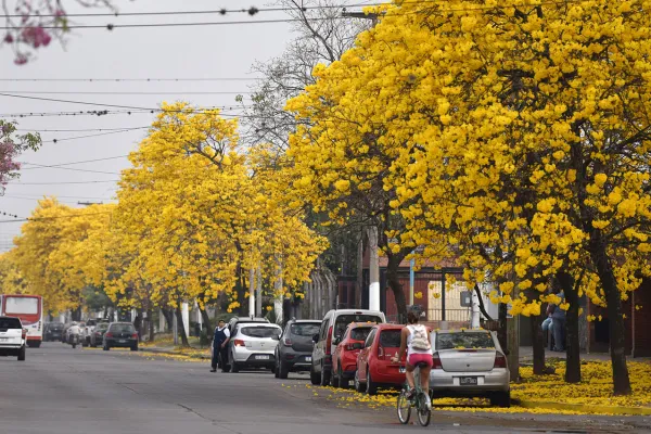 El tiempo en Tucumán: el intenso calor cederá esta semana y no descartan algunas lluvias