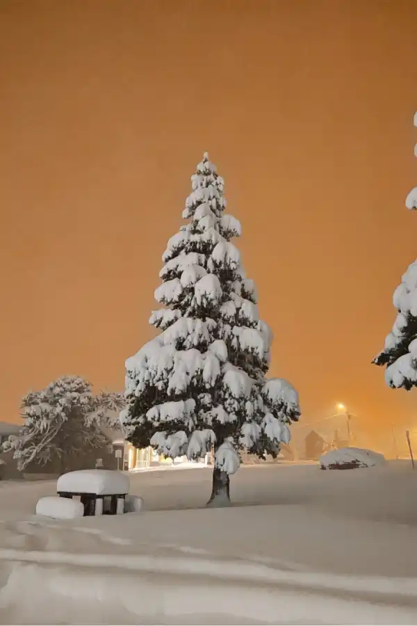 Caviahue: las fotos del mágico pueblo patagónico que amaneció sepultado por la nieve
