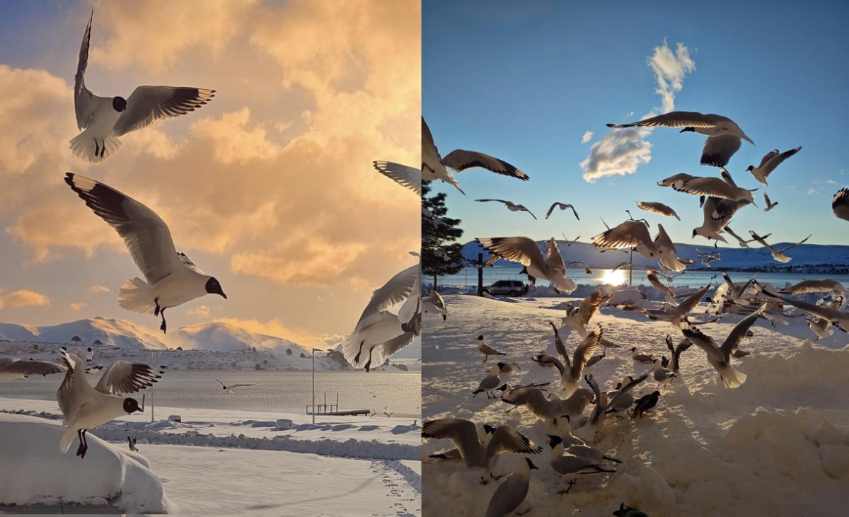 Caviahue: las fotos del mágico pueblo patagónico que amaneció sepultado por la nieve