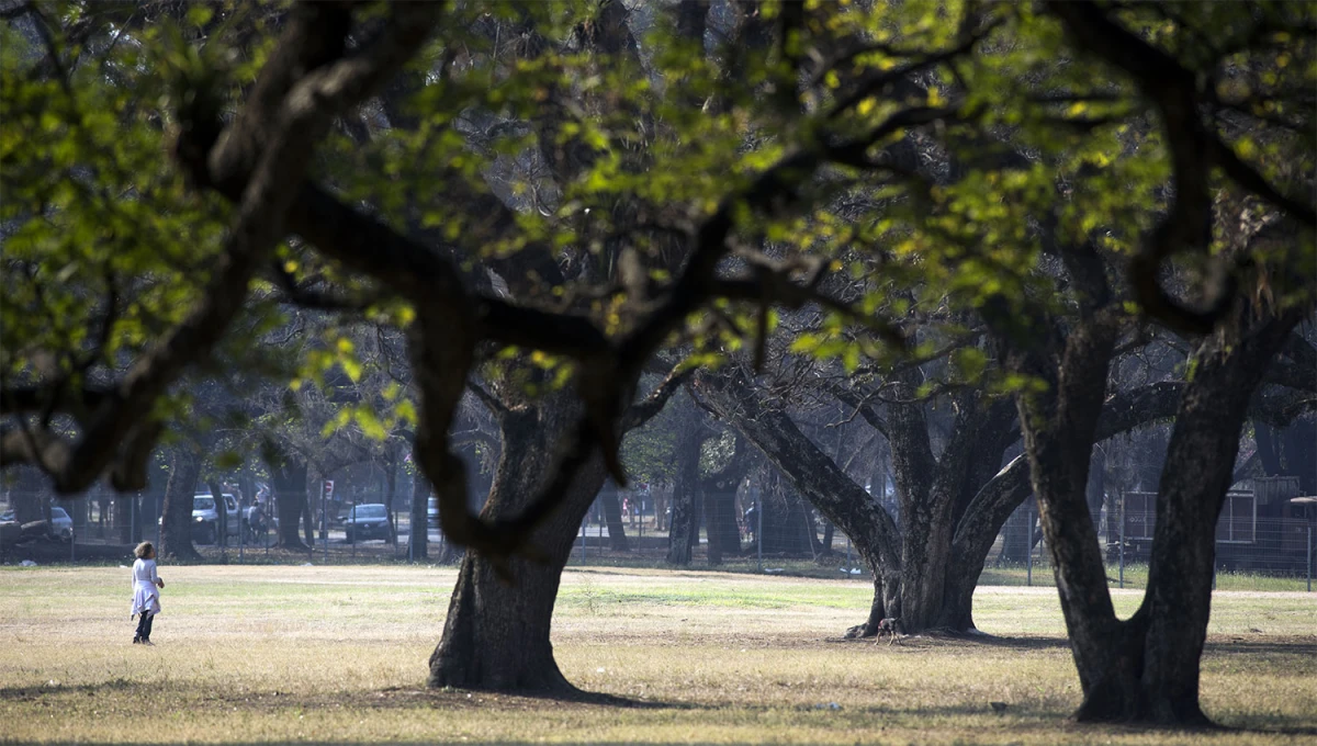 CÁLIDO. El pronóstico del SMN anticipa una disminución de la temperatura máxima en Tucumán.