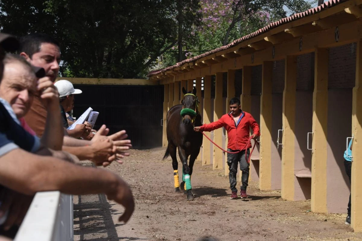 FOTO DE ANALÍA JARAMILLO.