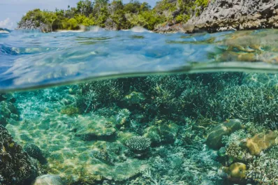 La Tierra puede haber transgredido siete de los nueve “límites planetarios”, de acuerdo a un último informe