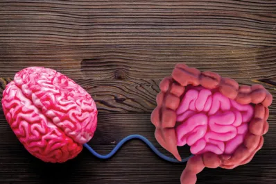 Tres inusuales hábitos que mejoran la salud intestinal y potencian la función cognitiva