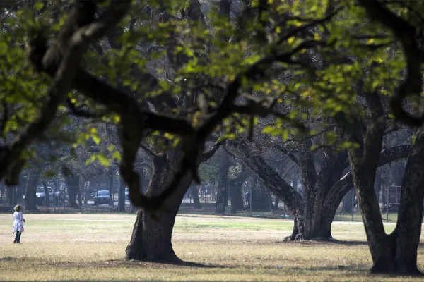 El tiempo en Tucumán: anuncian calor y una jornada inestable ¿vuelven las lluvias?