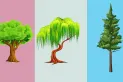 Test de personalidad: el árbol que elijas revelará tu capacidad para superar momentos difíciles