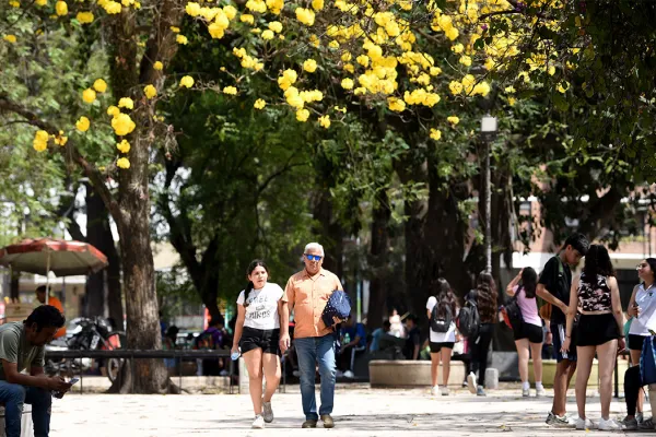 El tiempo en Tucumán: anuncian otra jornada calurosa y la vuelta de las lluvias