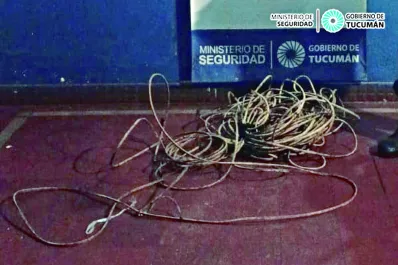 Liberaron a dos menores que robaron cables