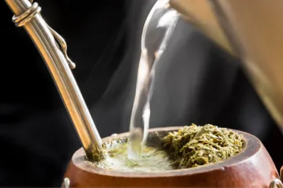 ¿Te sentís agotado? Esta hierba en el mate ayuda a reducir el dolor y recuperar la energía