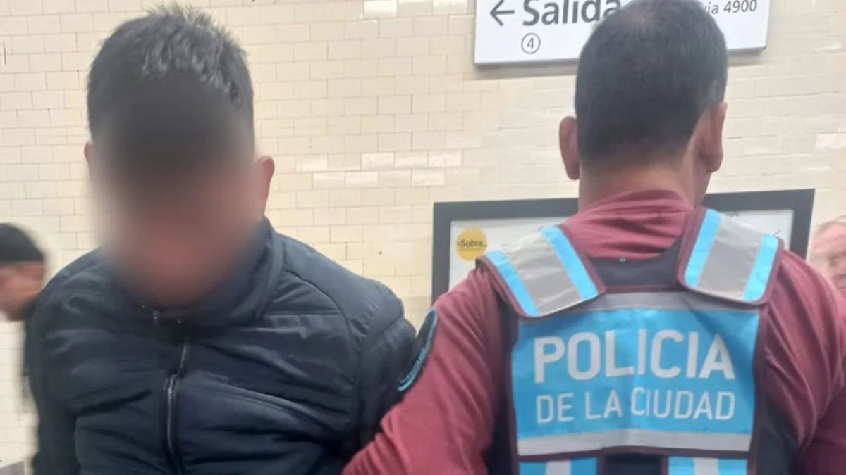 Expulsaron del país a un joven chileno que intentó robar un celular en el subte