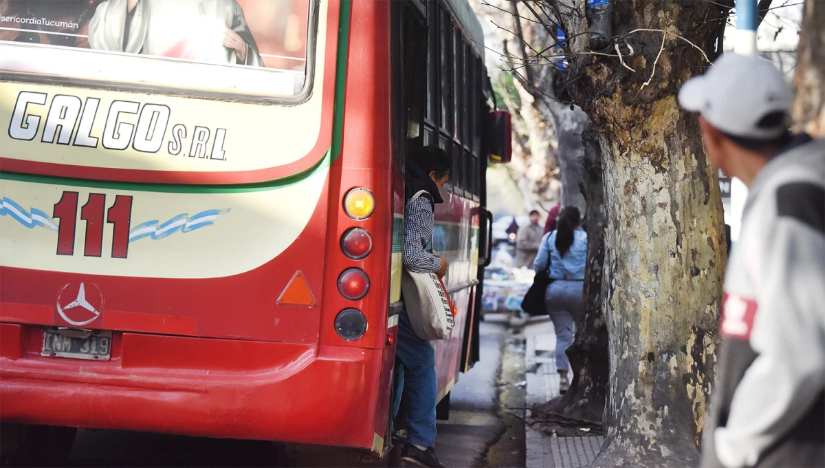 SERVICIO. La intendencia insiste en el mejoramiento de los colectivos y del sistema de transporte público de pasajeros.