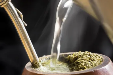 La hierba medicinal que ayuda a la memoria y se puede consumir en el mate