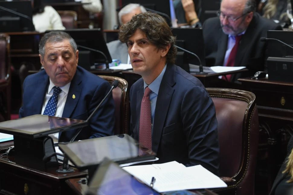 EN CRISIS. El partido que conduce el senador Lousteau llegó a un acuerdo para rechazar el veto presidencial a la ley de financiamiento universitario. 