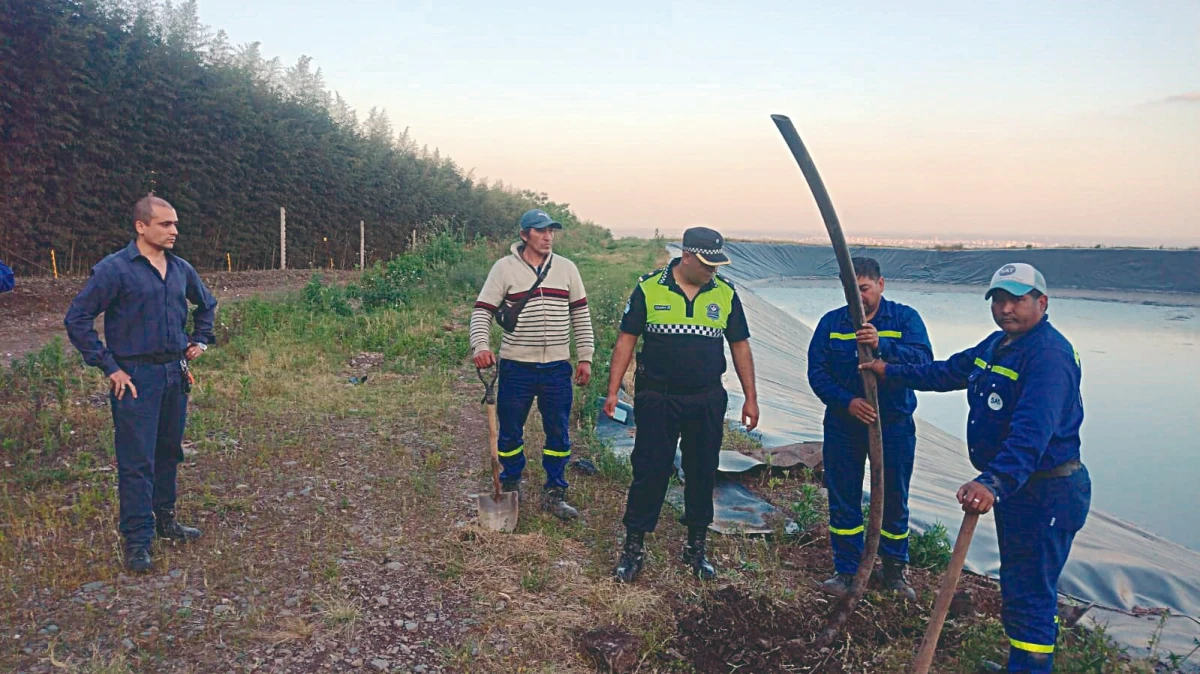 ALIMENTACIÓN. Los operarios de la SAT descubrieron los caños que alimentaban la laguna de 10.000 metros cuadrados.