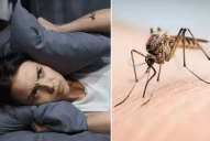 El secreto para dormir sin mosquitos: un truco casero fácil y económico