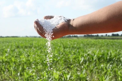 Se notó una respuesta positiva del maíz al uso de fertilizantes
