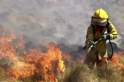 Incendios en Córdoba: anunciaron un programa para restaurar los daños causados por el fuego