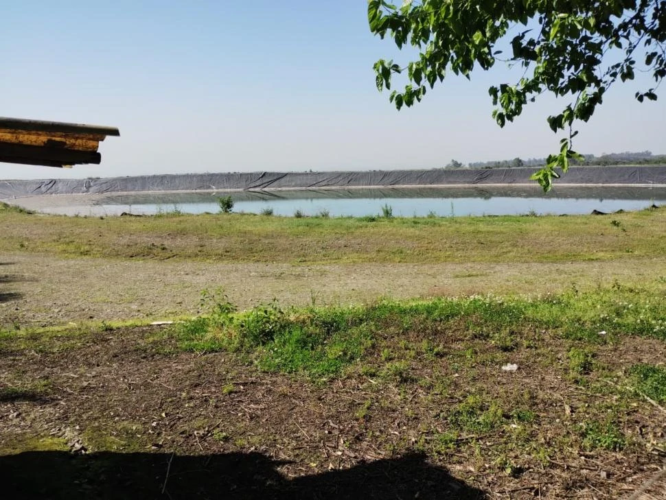 IMPRESIONANTE RESERVORIO. En el campo de un productor de citrus se construyó una laguna de 10.000 metros cuadrados para almacenar agua.