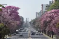 El tiempo en Tucumán: el calor seguirá subiendo y anuncian tres días muy calurosos