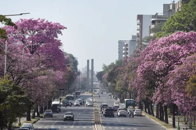 El tiempo en Tucumán: el calor seguirá subiendo y anuncian tres días muy calurosos