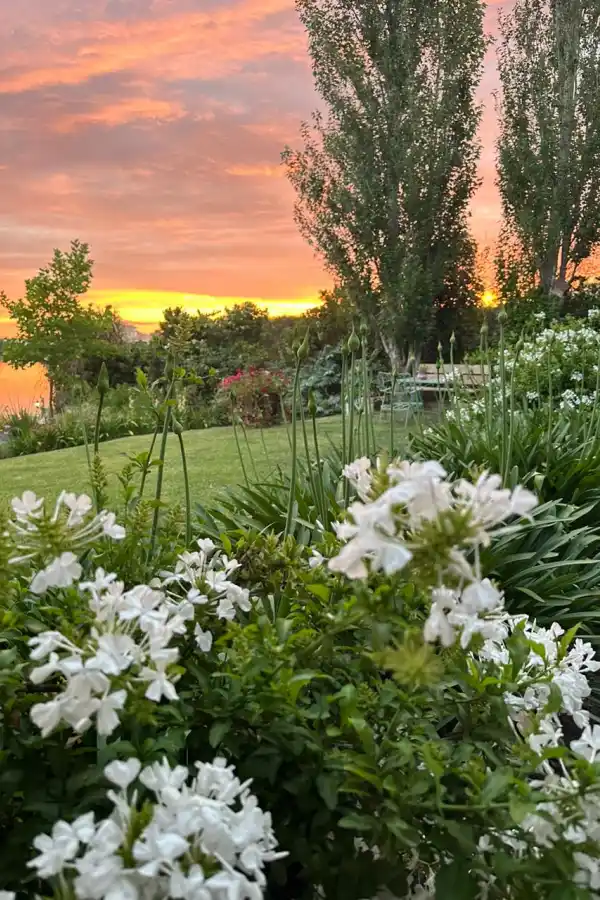 LG Play lanza Lifestyle: una guía para un estilo de vida consciente y saludable