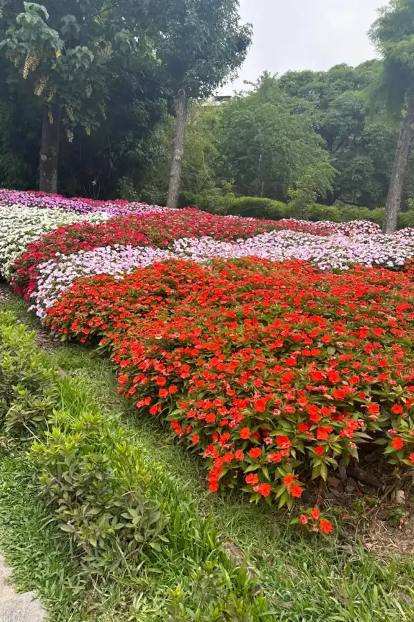 LG Play lanza Lifestyle: una guía para un estilo de vida consciente y saludable