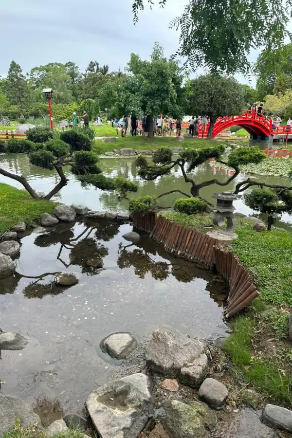 LG Play lanza Lifestyle: una guía para un estilo de vida consciente y saludable