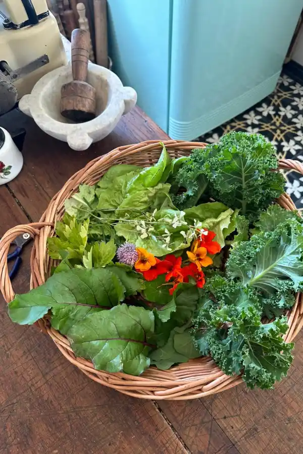 LG Play lanza Lifestyle: una guía para un estilo de vida consciente y saludable