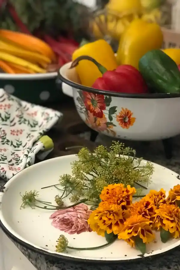 LG Play lanza Lifestyle: una guía para un estilo de vida consciente y saludable