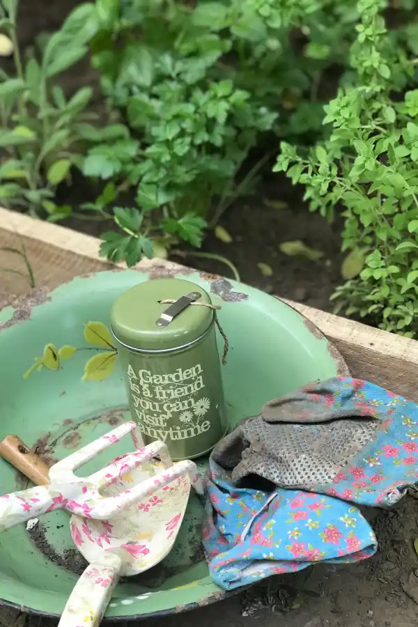 LG Play lanza Lifestyle: una guía para un estilo de vida consciente y saludable